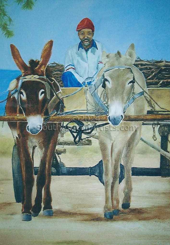 Donkiekar Donkey Cart Karoo