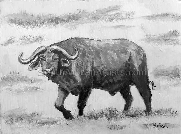 Monochrome Buffalo