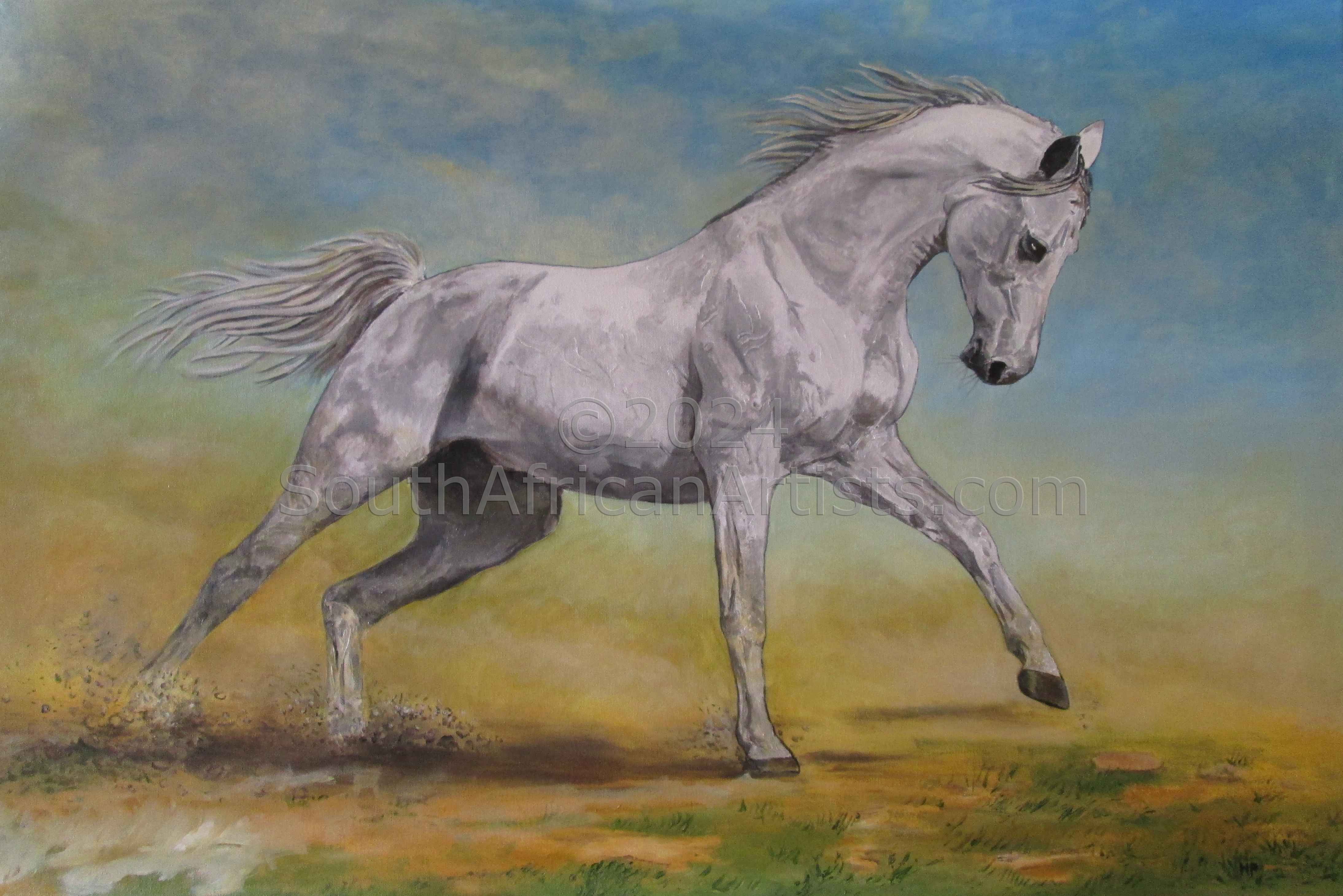 White Horse in the Desert