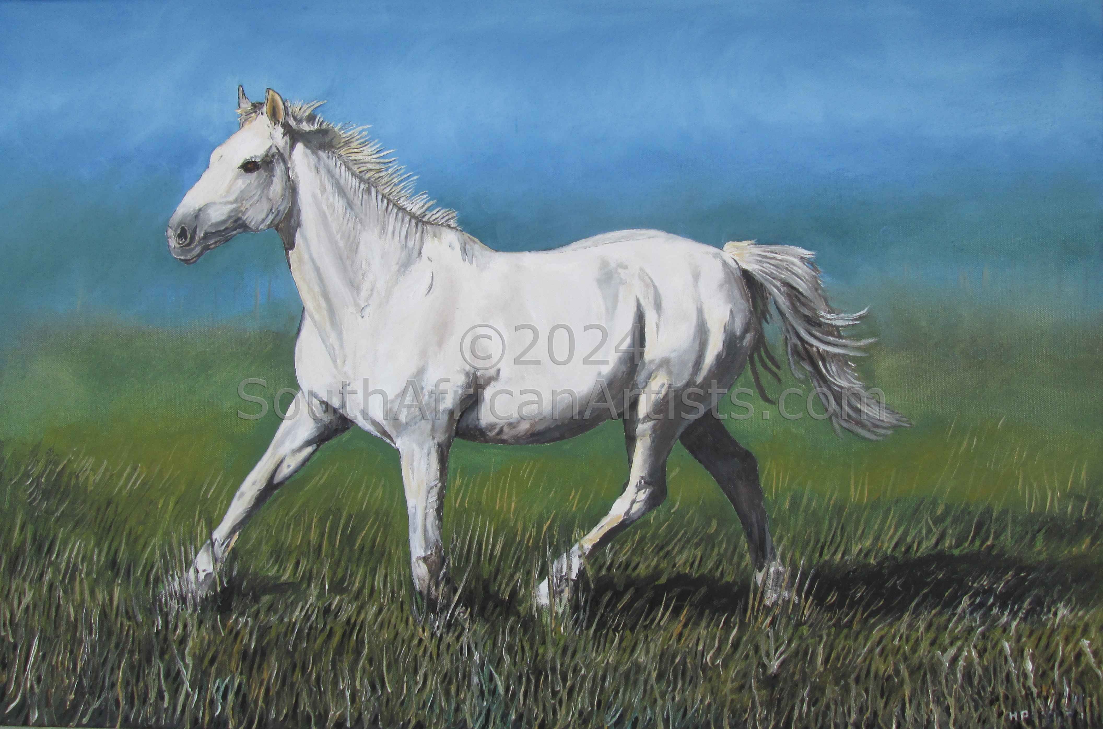 White Horse in Grass Field