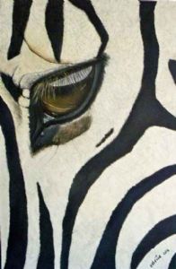"Zebra Eye"