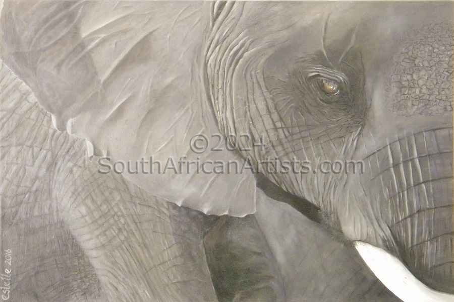 Elephant Close-up