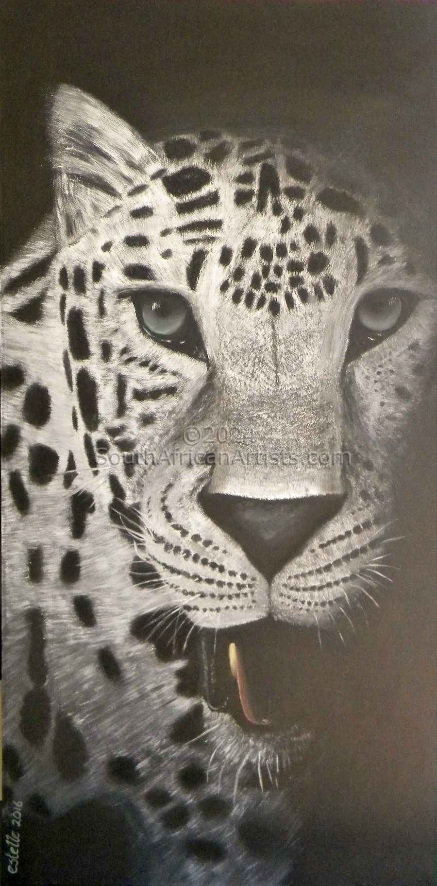 Leopard Black&Amp;White