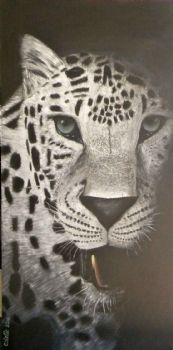 "Leopard Black&Amp;White"