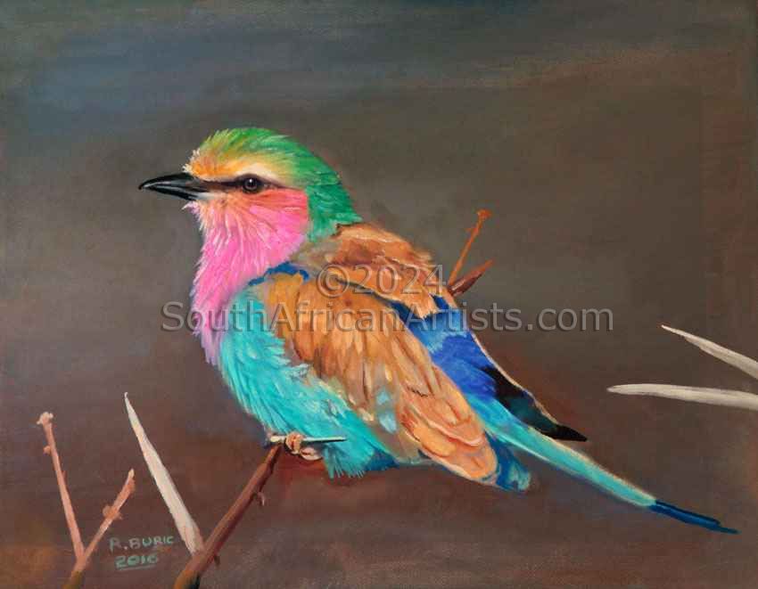 Lilacbreasted Roller #2