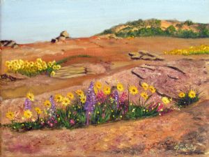 "Daisies in Namaqualand"