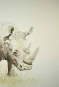 "The Stance - Rhino"