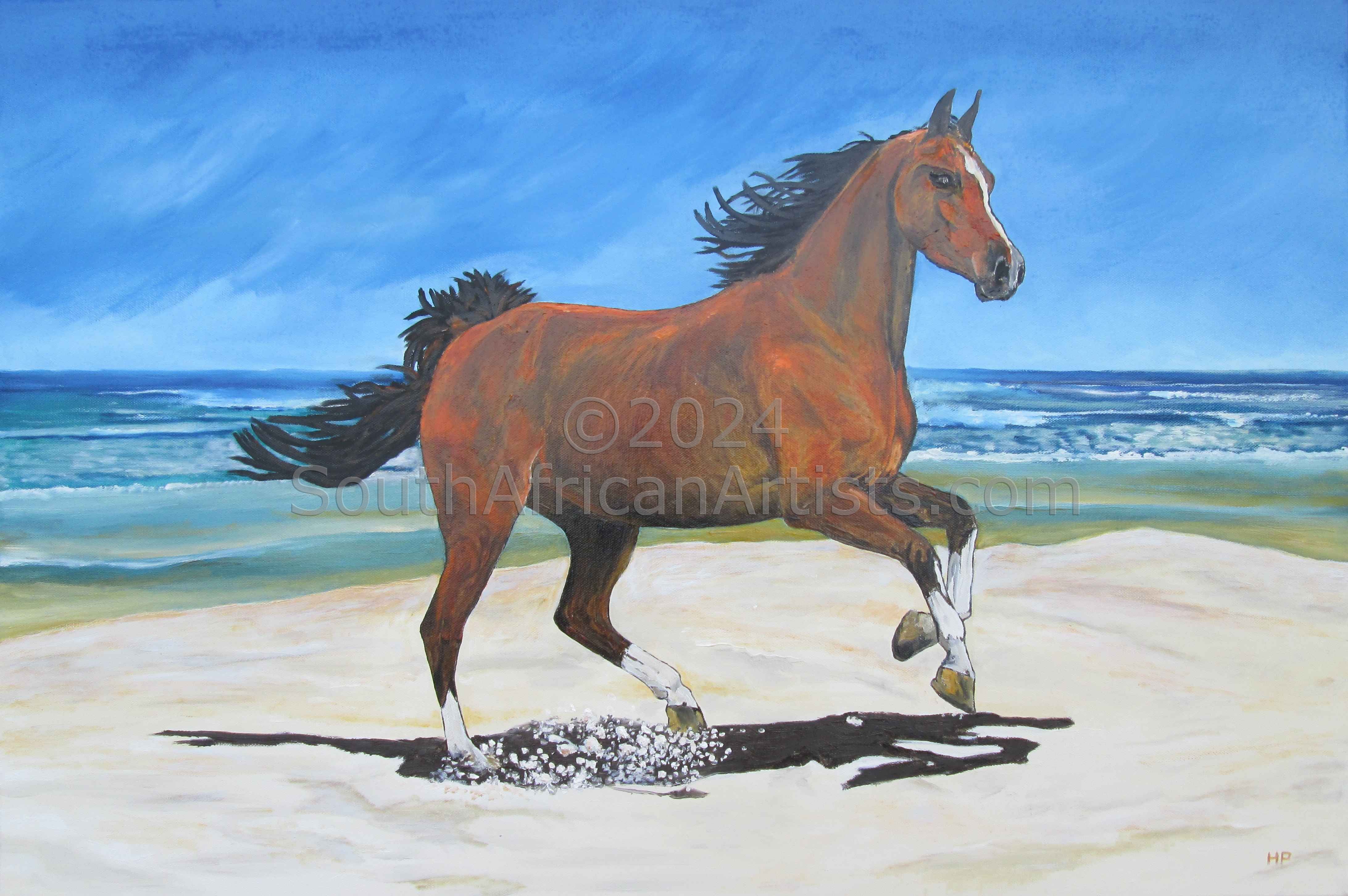 Horse on the Beach