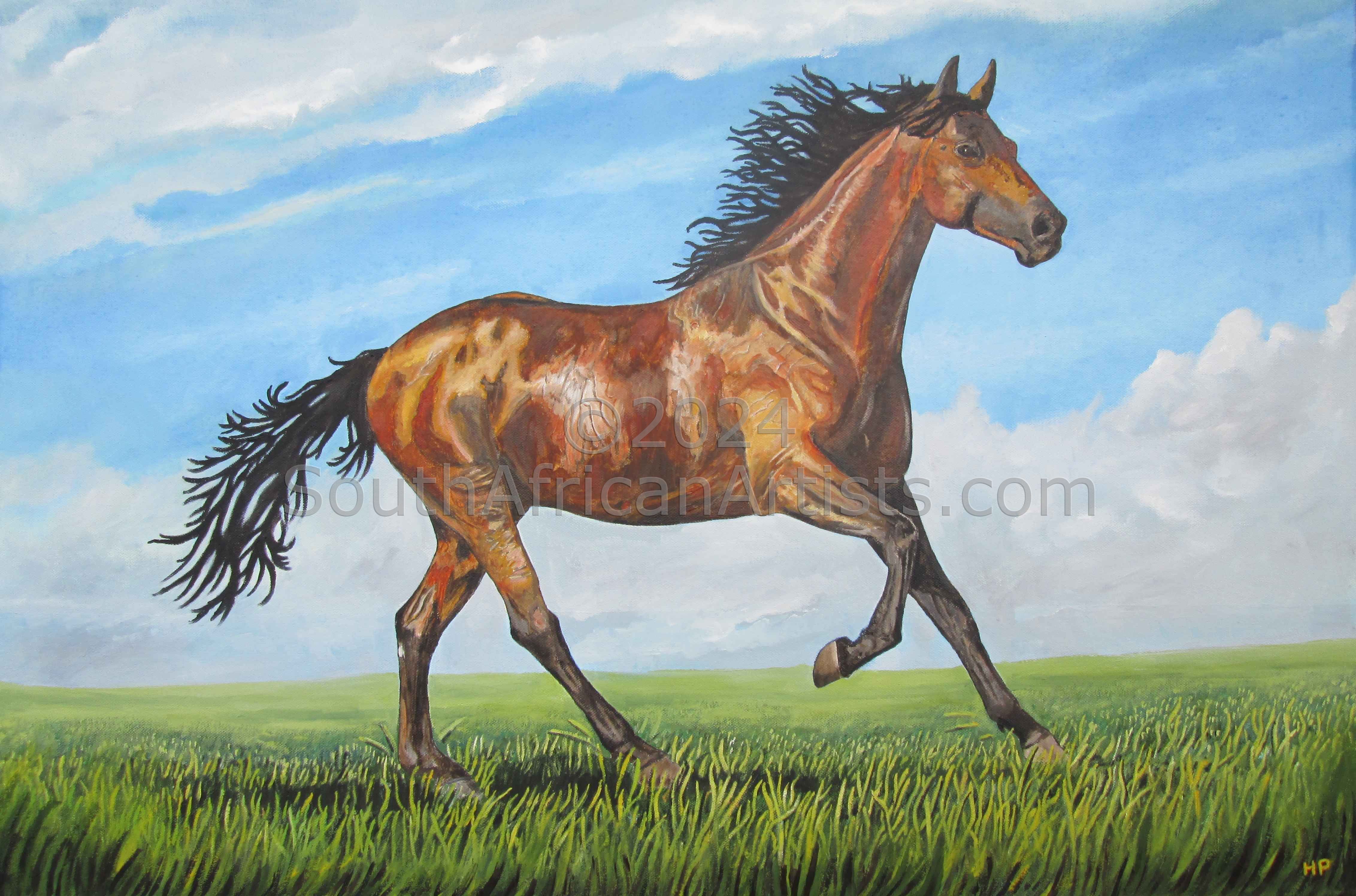 Brown Horse Running in a Field
