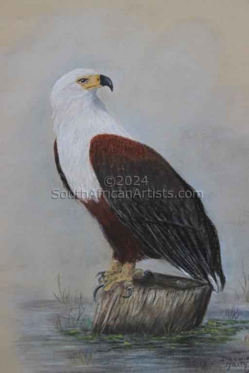 African Fisheagle se huis