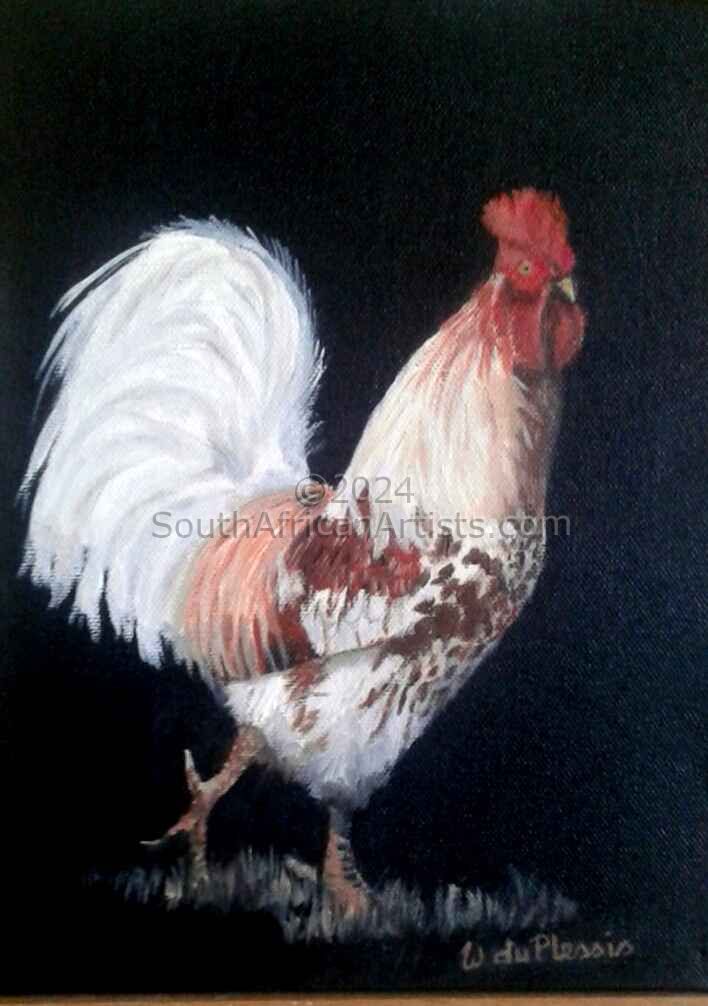 Rooster #459