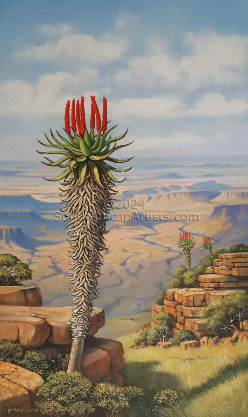 Aloe with Karoo Vista