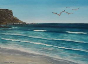 "Seagulls Flying Elands Bay"