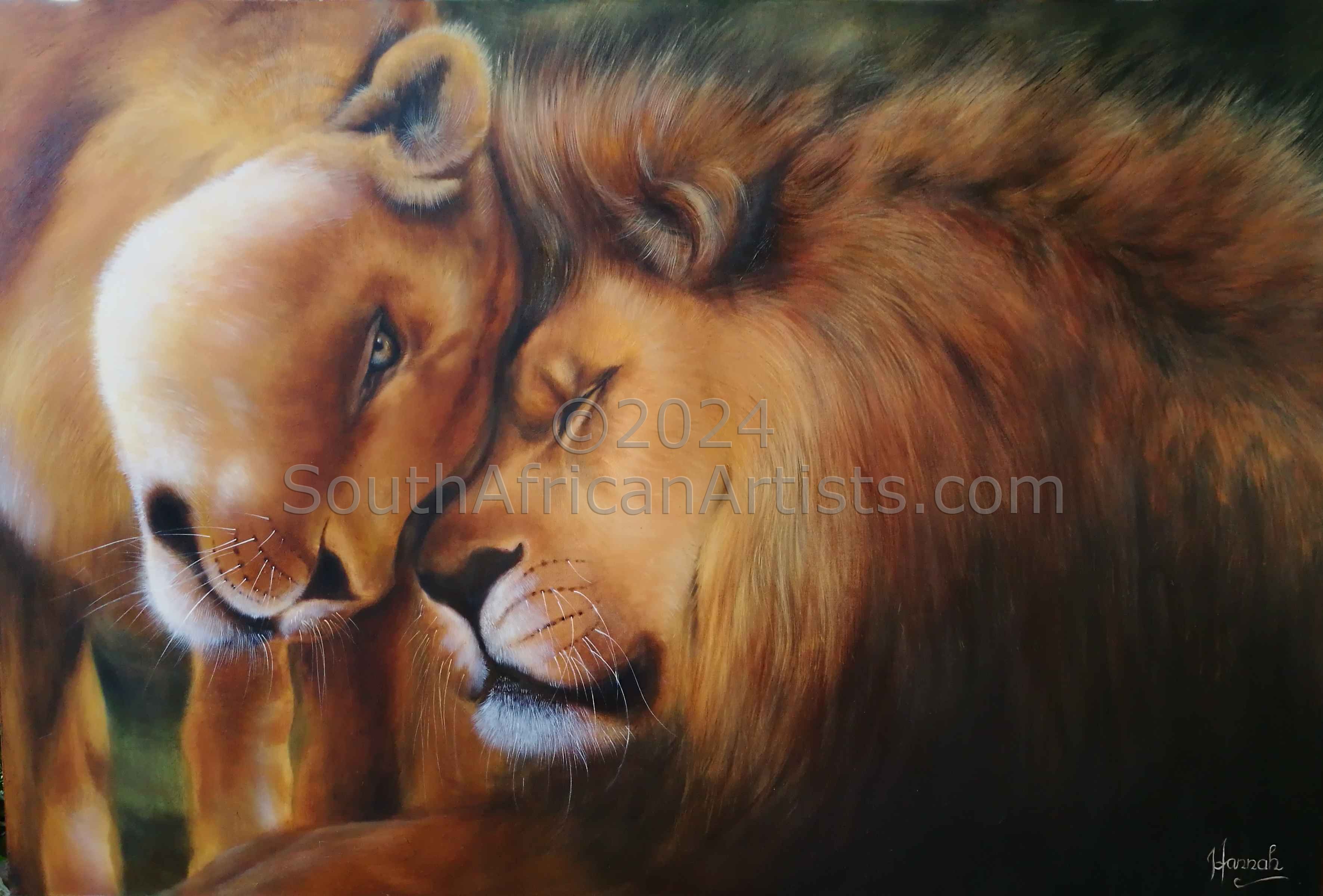 Lions in Love