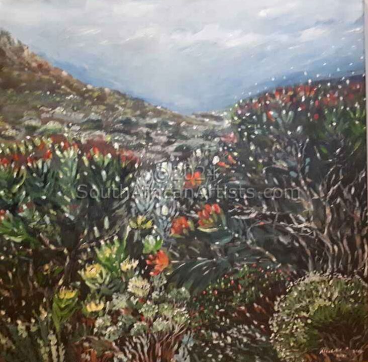 Fynbos Landscape