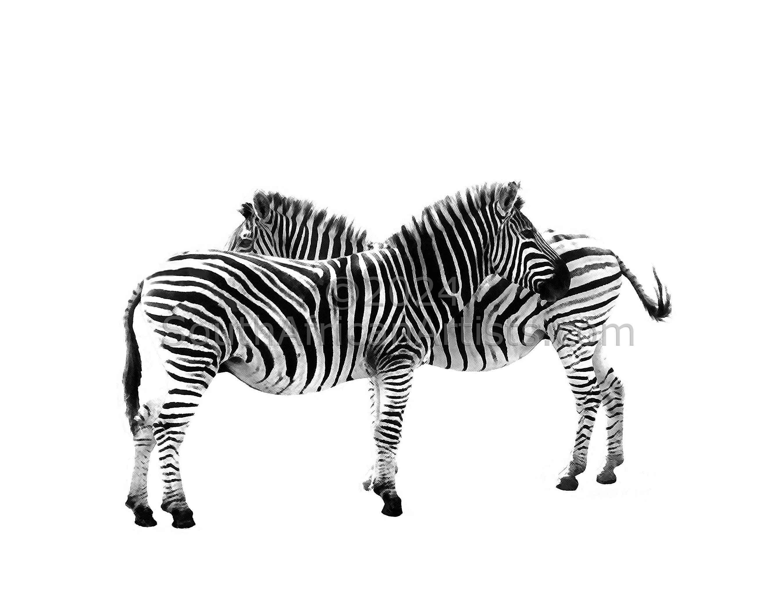 Zebras - Graphic Gemini