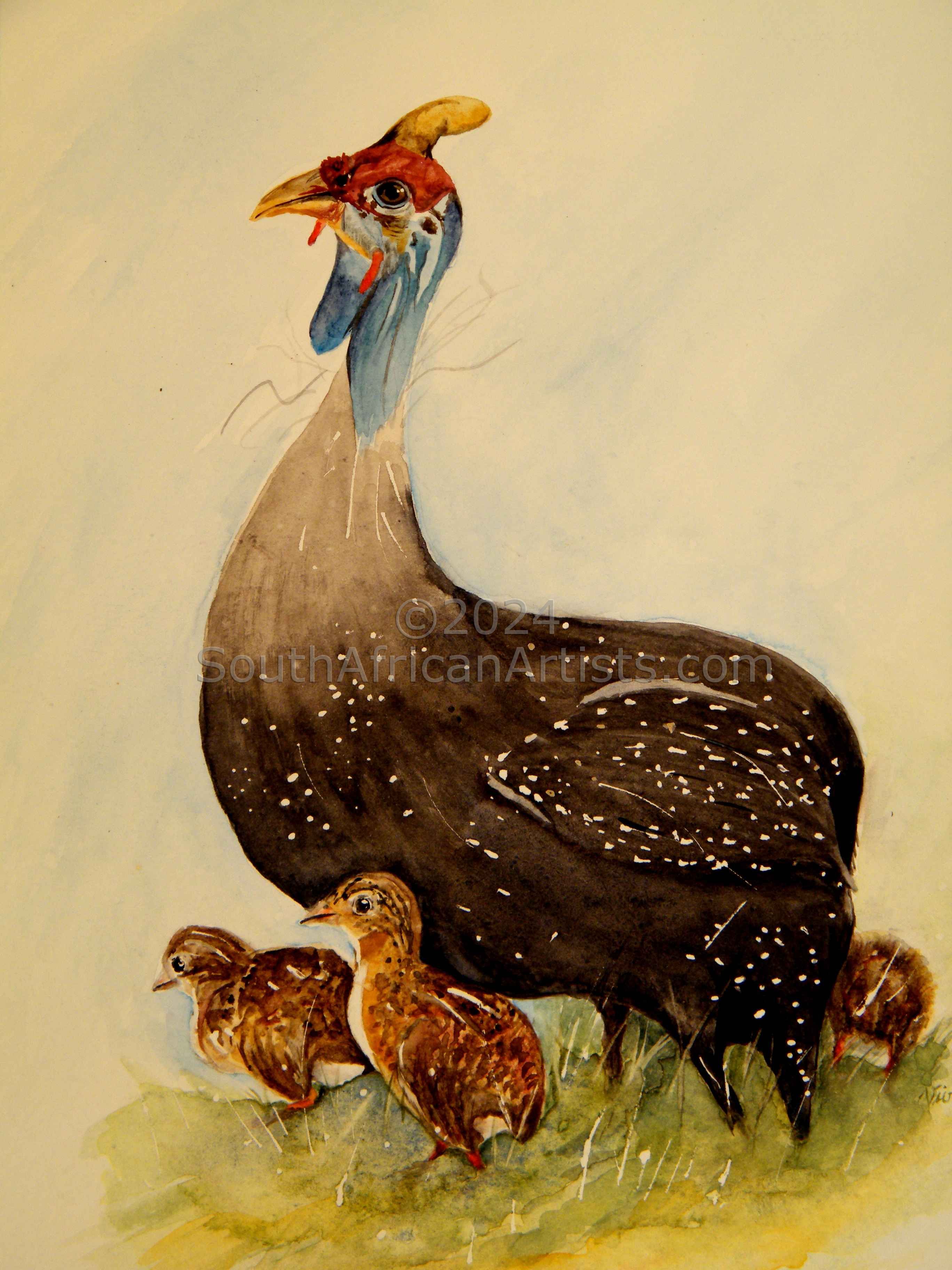 Guinea Fowl Family