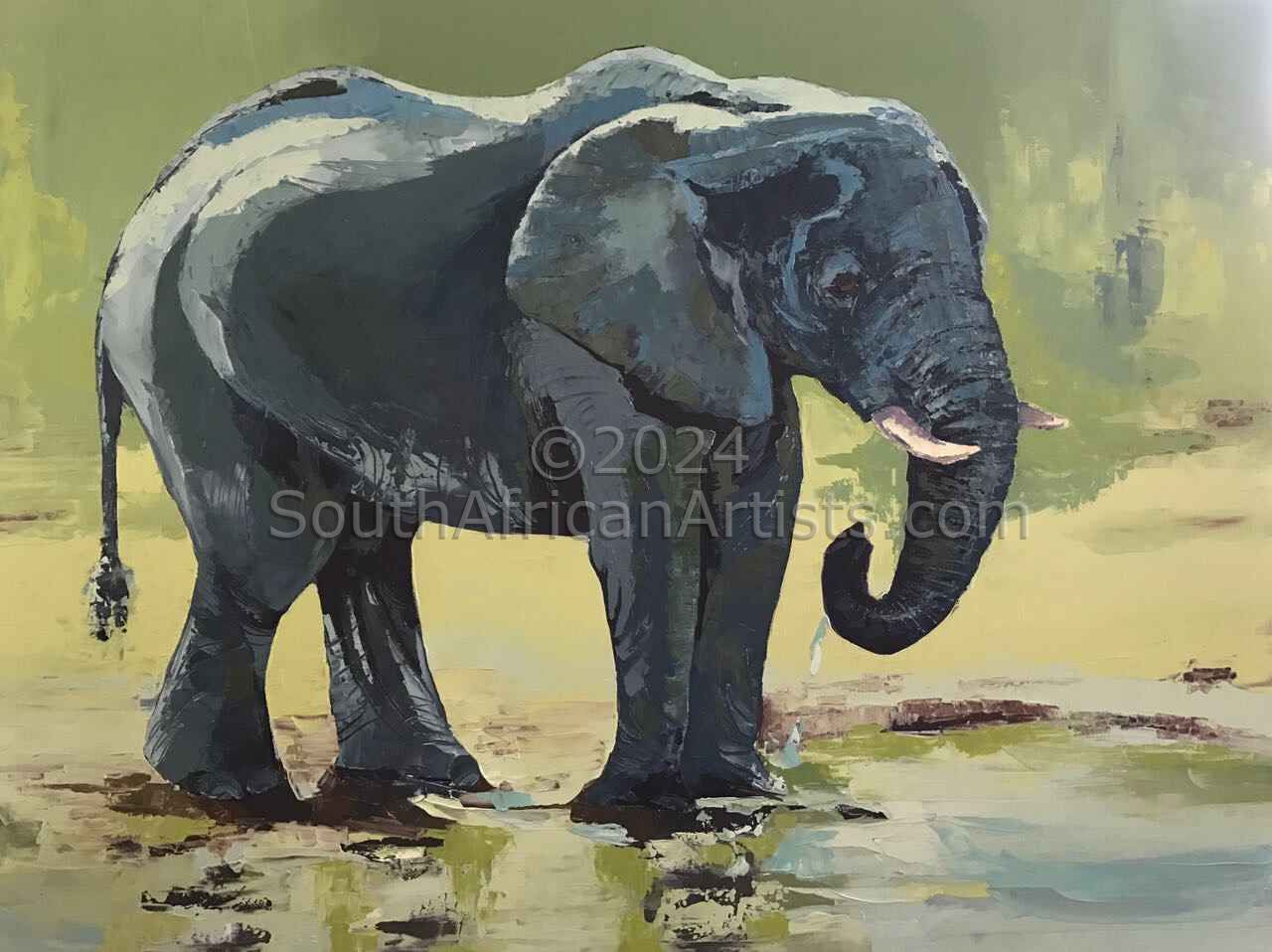 Elephants 1