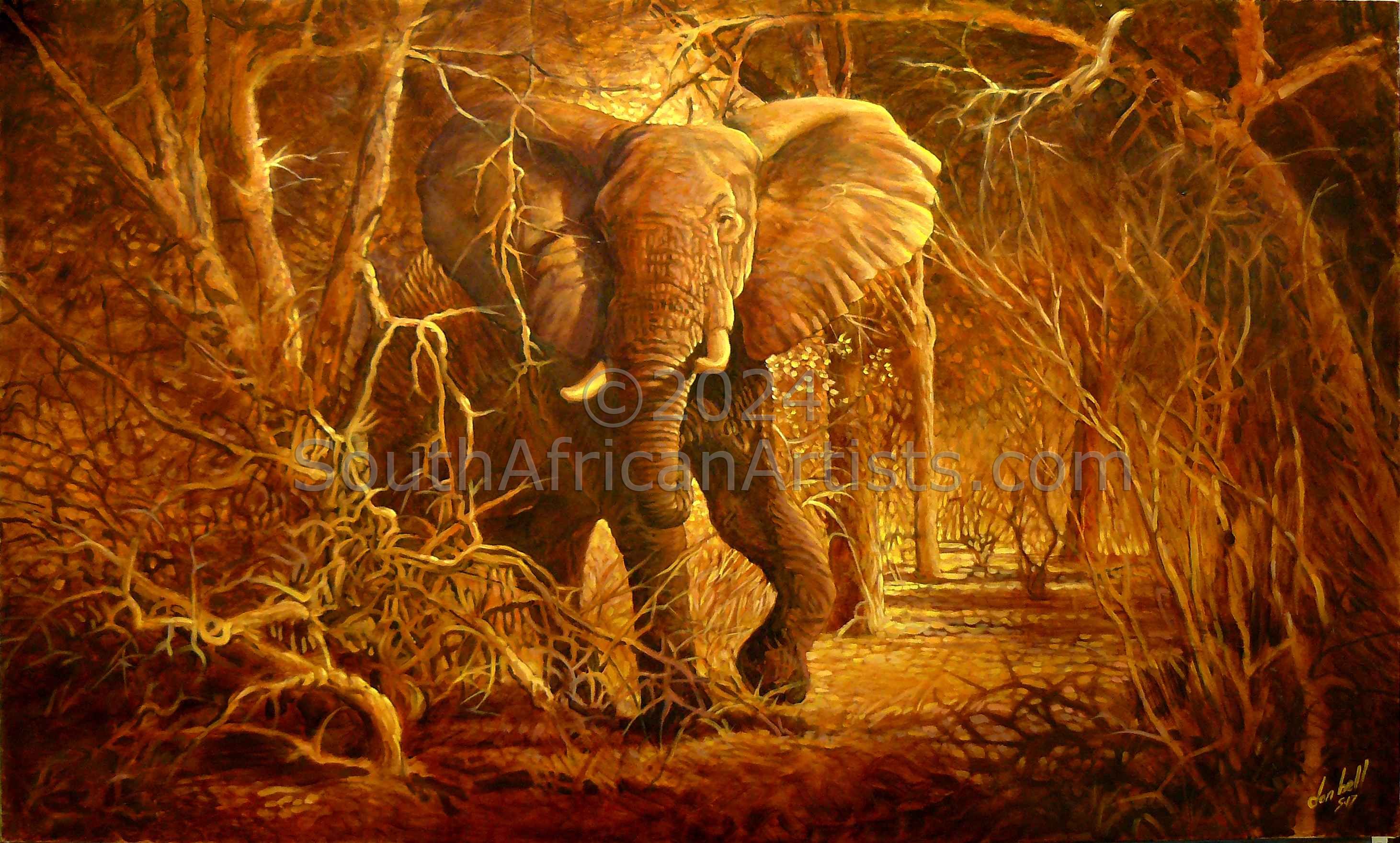 African Elephant Challenger
