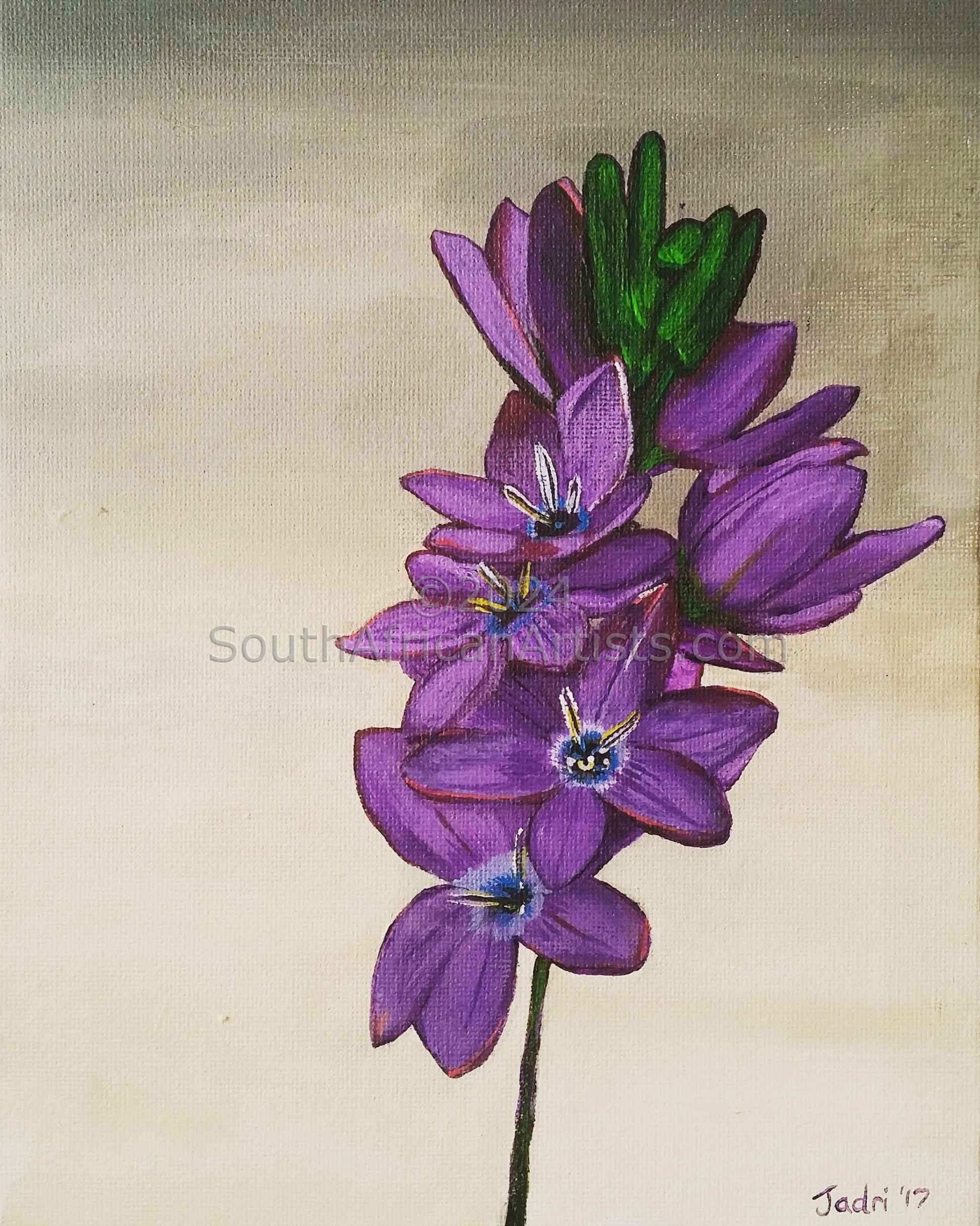 Purple Fynbos Flowers
