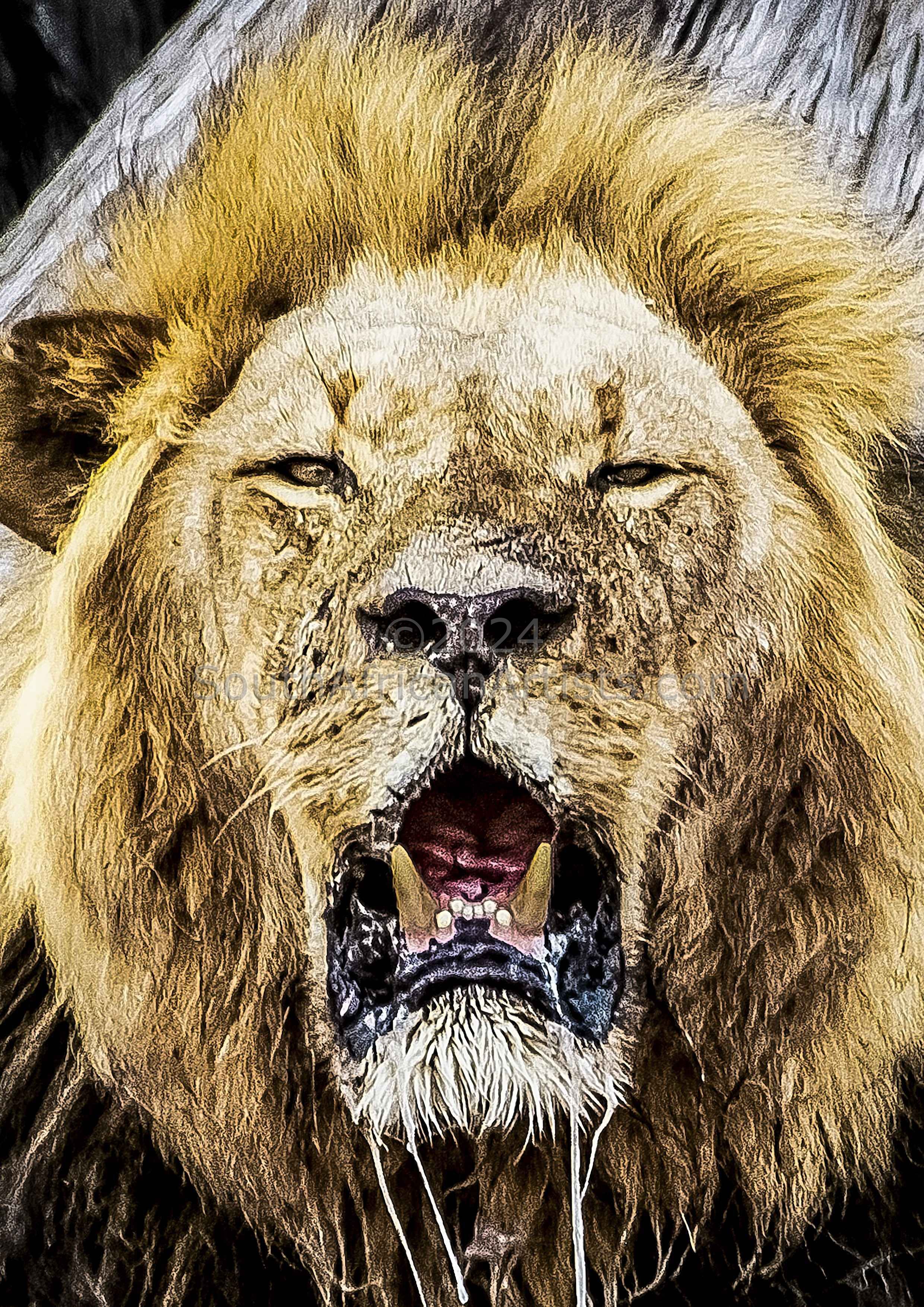 Lion Closeup