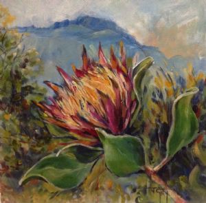 "King Protea, Cape"