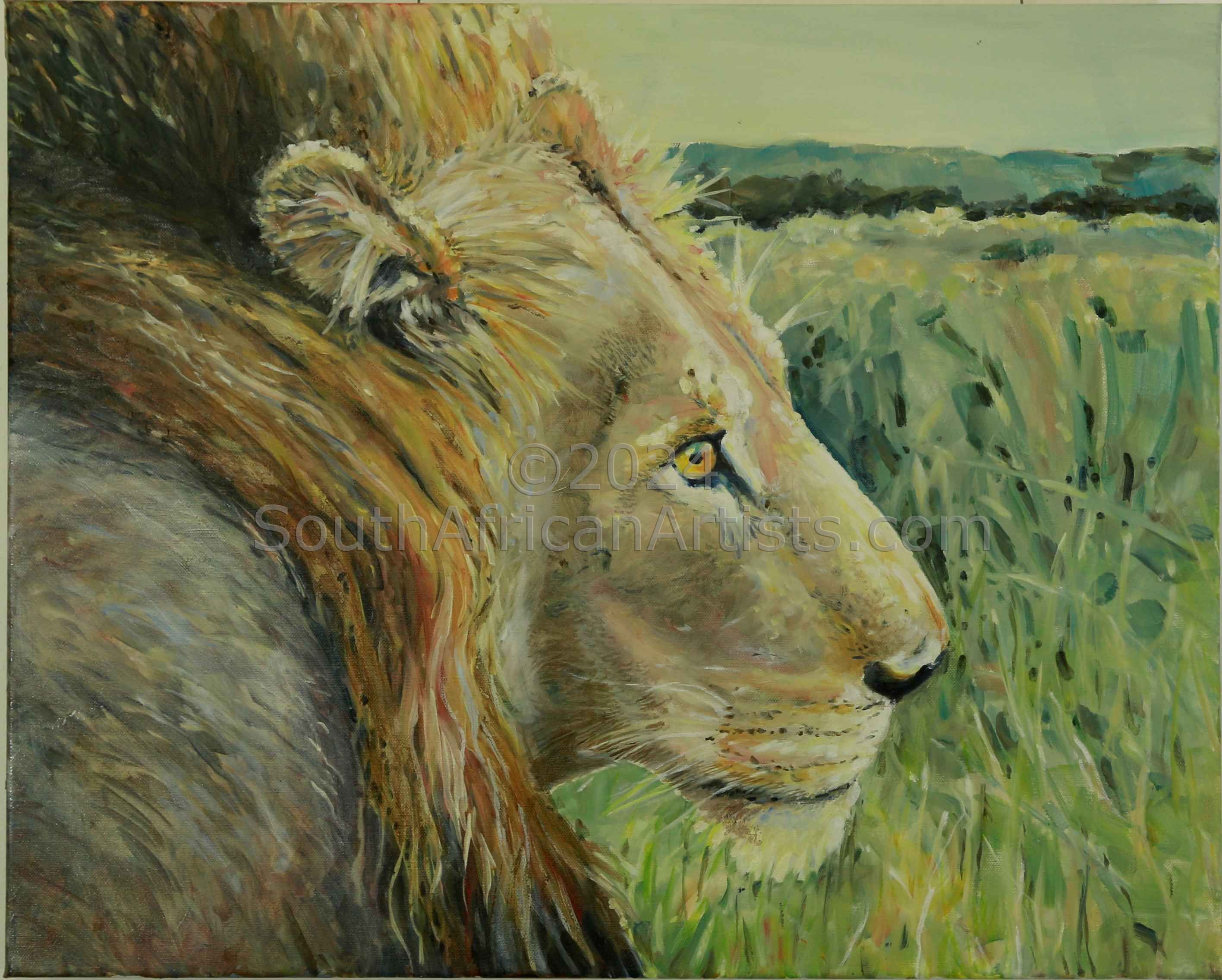 Kruger Lion STOLEN