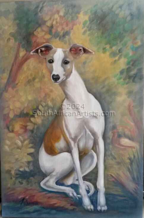 Whippet