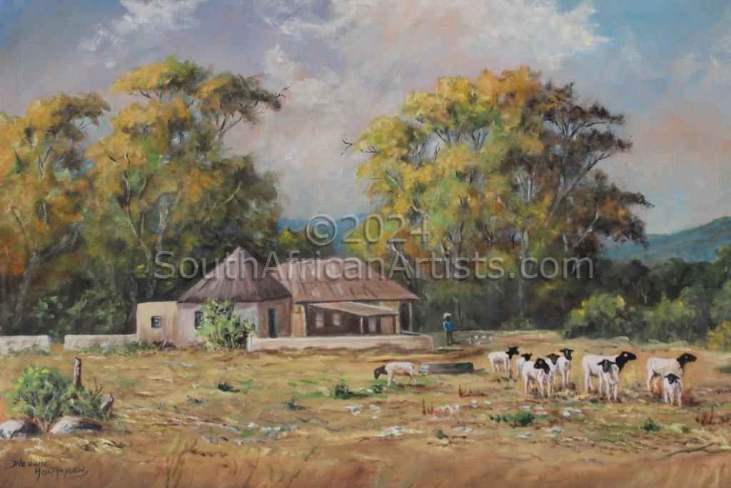 Sheep farm Western Cape