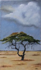 "Acacia Tree 01"