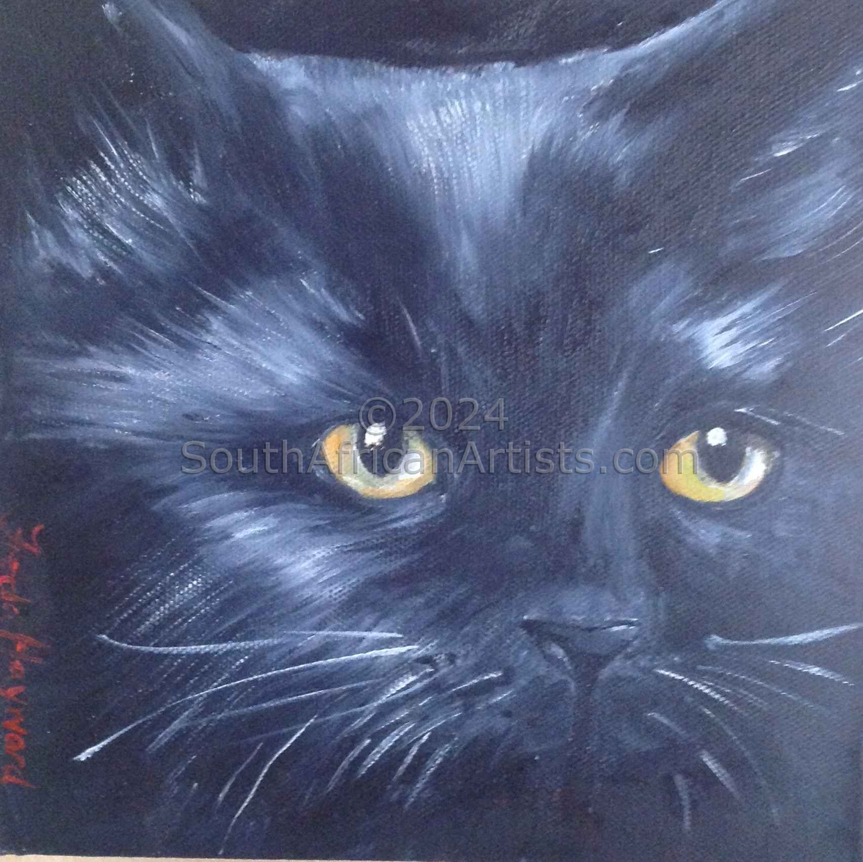 Cat Portrait 1