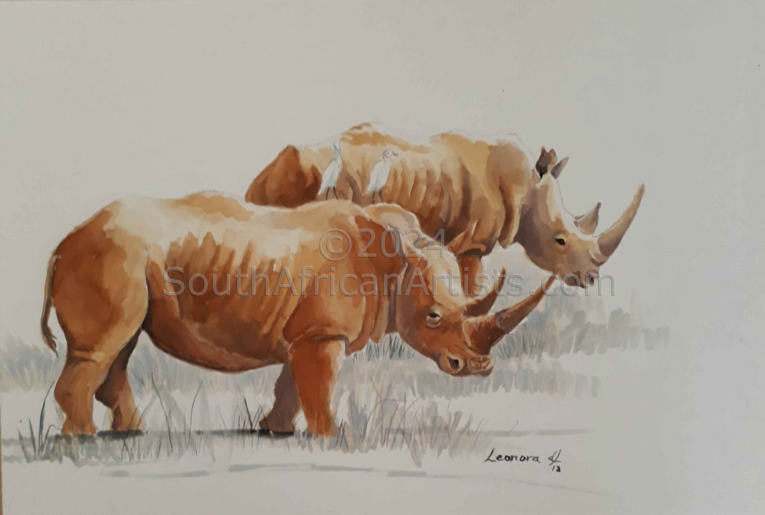 Rhino Couple