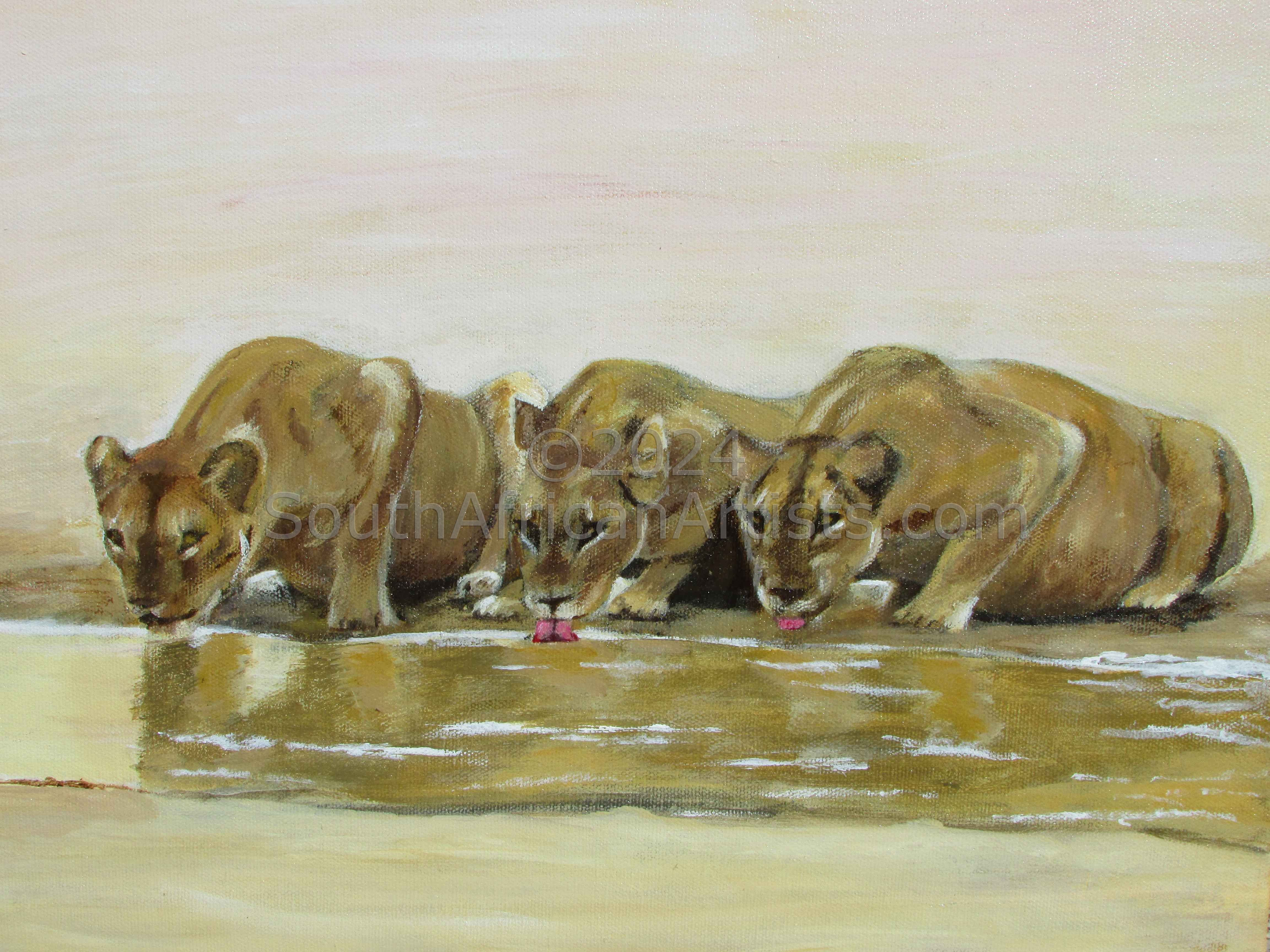 3 Lioness' at Ngwenya Lodge