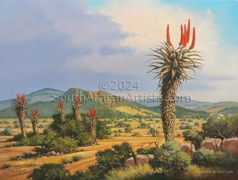 Southern Cape Aloes