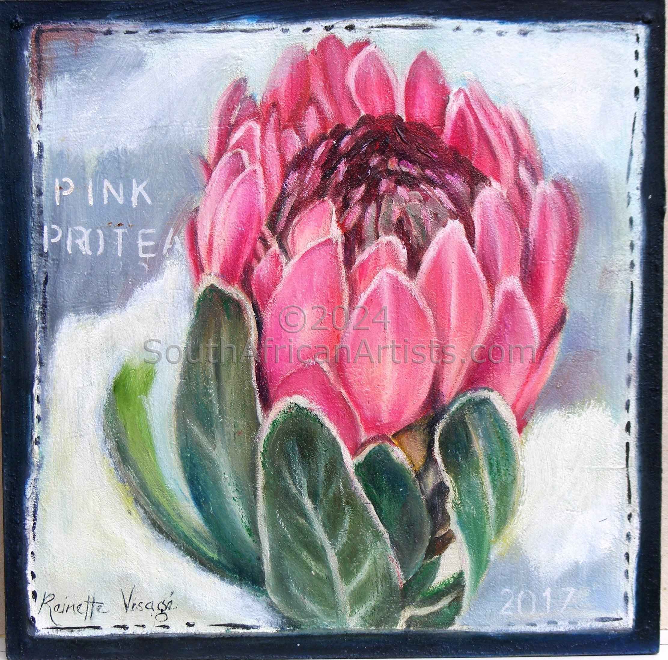 Pink Protea Vii