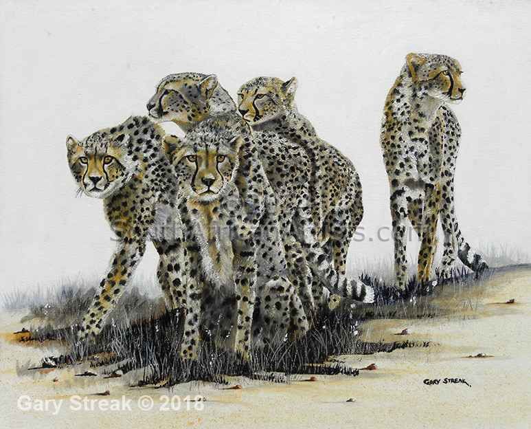 Cheetah Pack