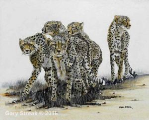 "Cheetah Pack"