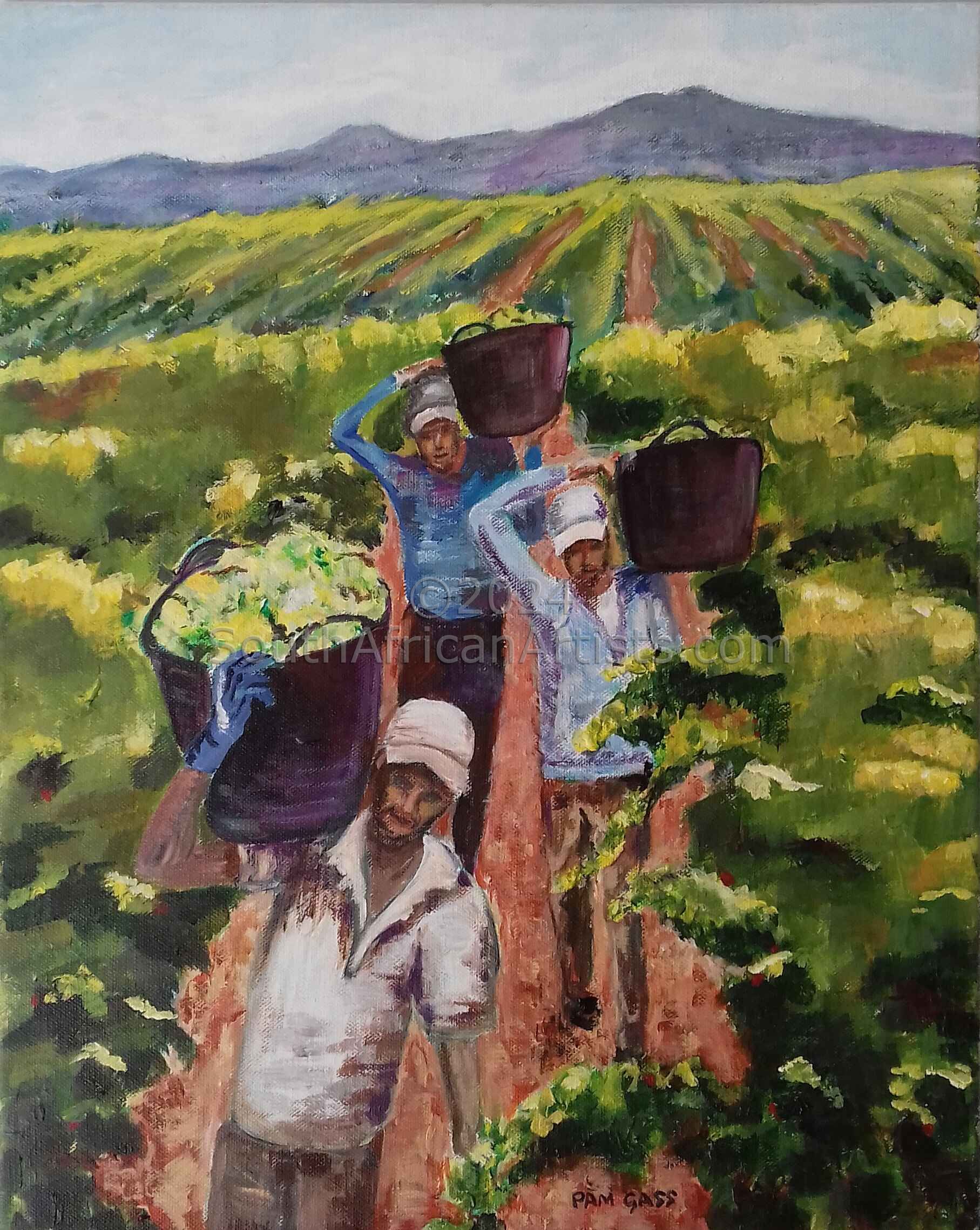 Grape Pickers in the Cape