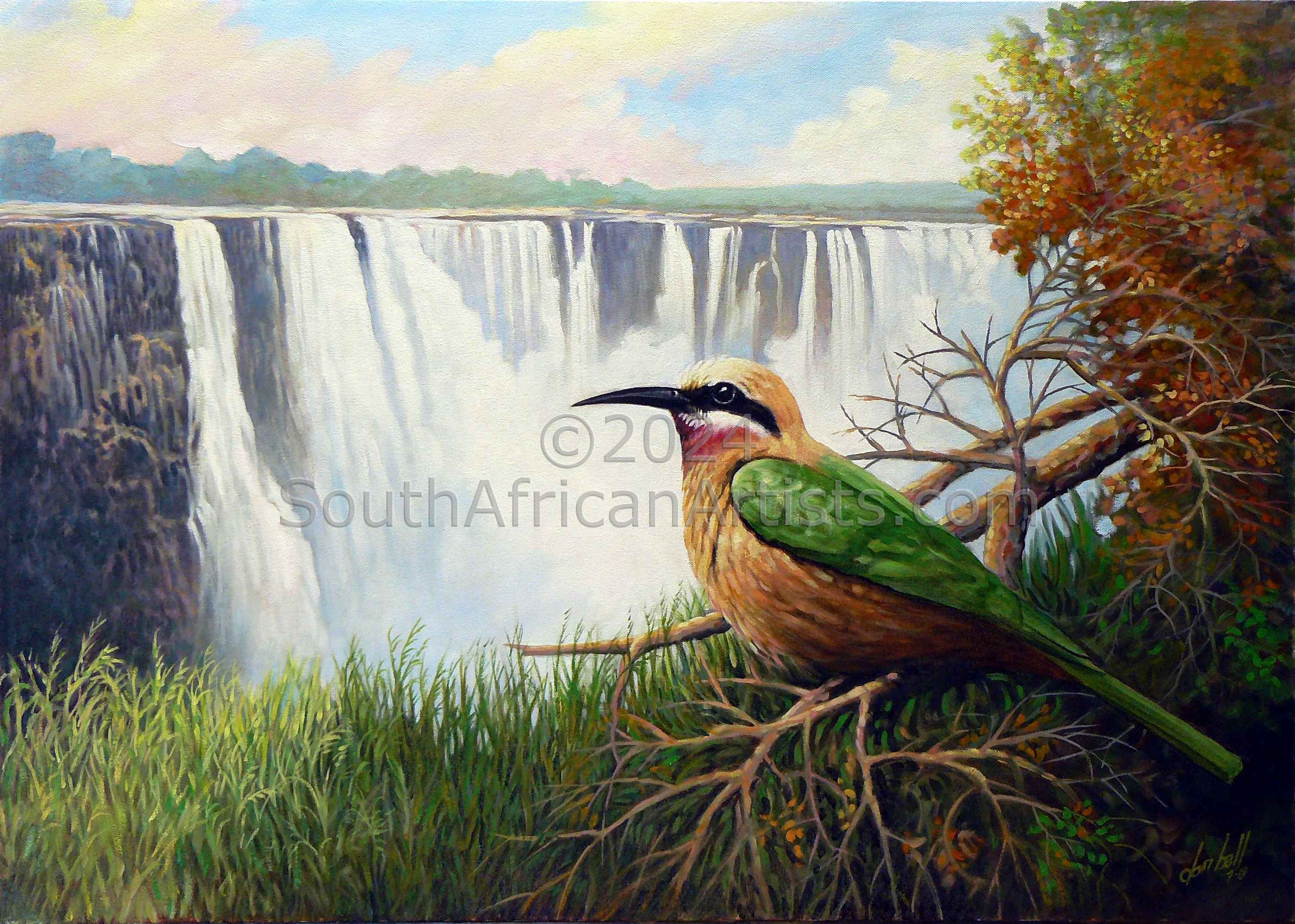 Victoria Falls & White Fronted Bee Eater