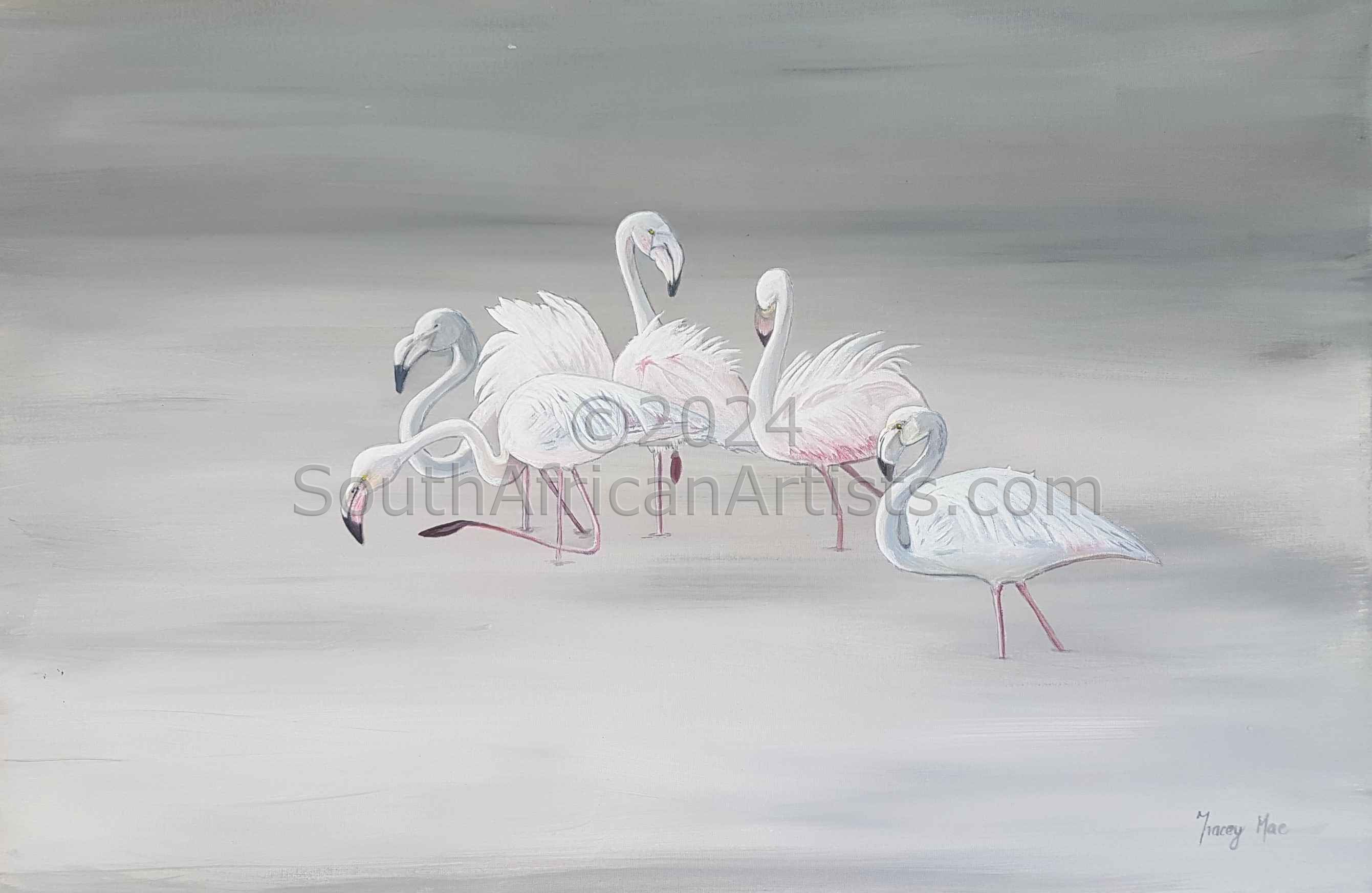 Flamingo Ballet