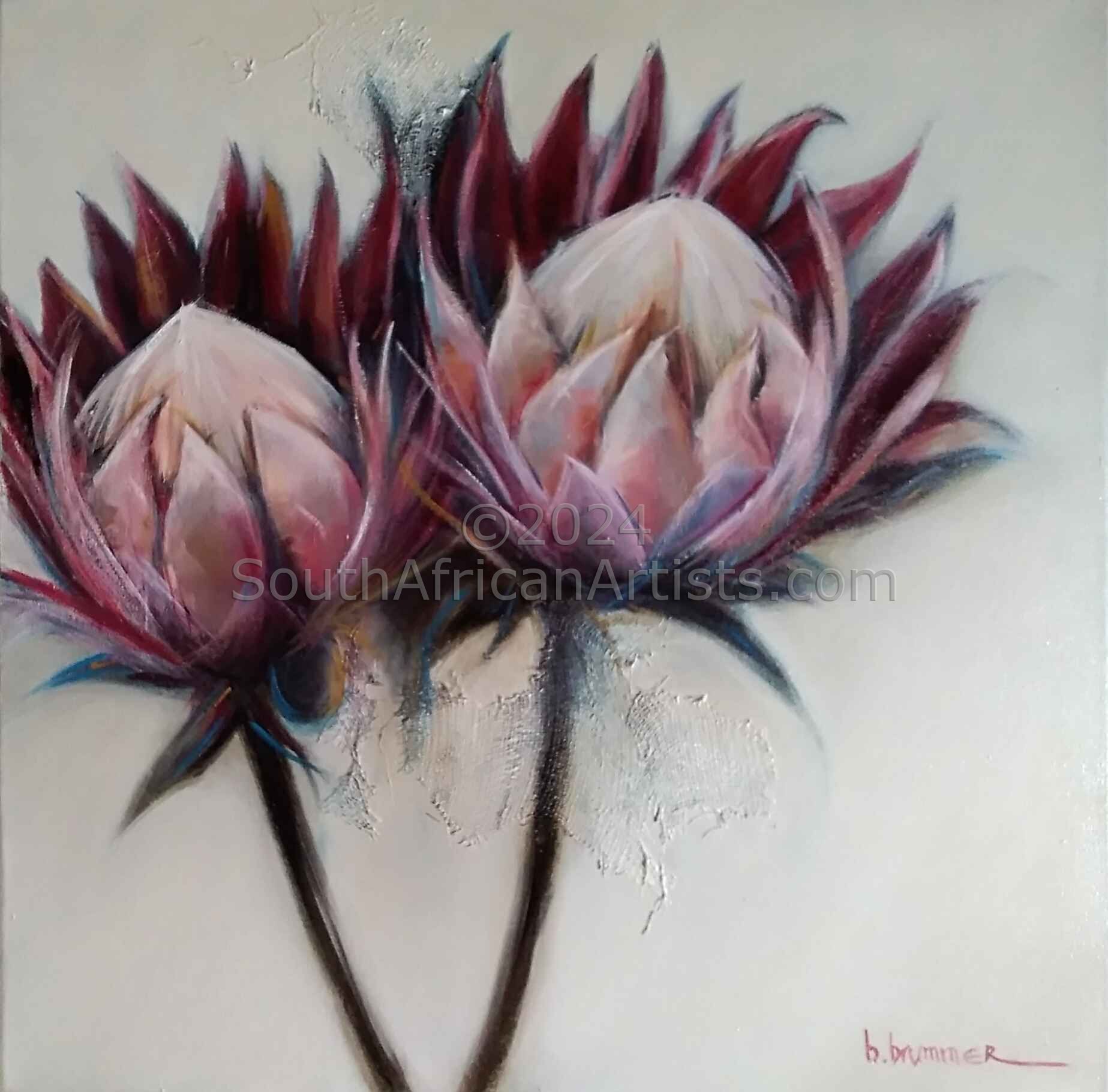 Pink Proteas 2