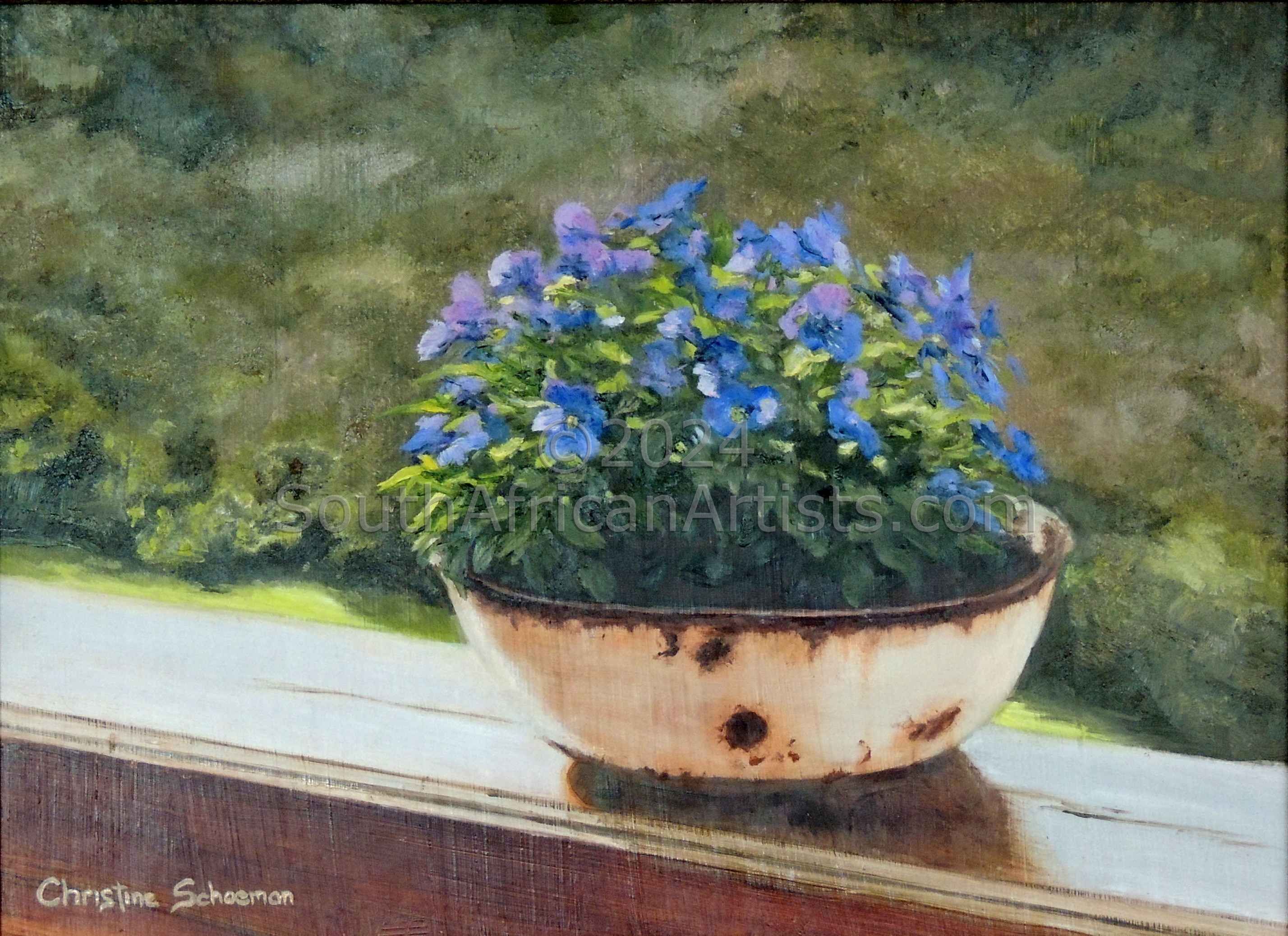 Violets in Rusty Bowl