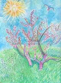 Blossom Tree in Sunshine