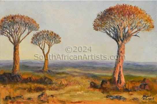 Quiver Trees Namibia