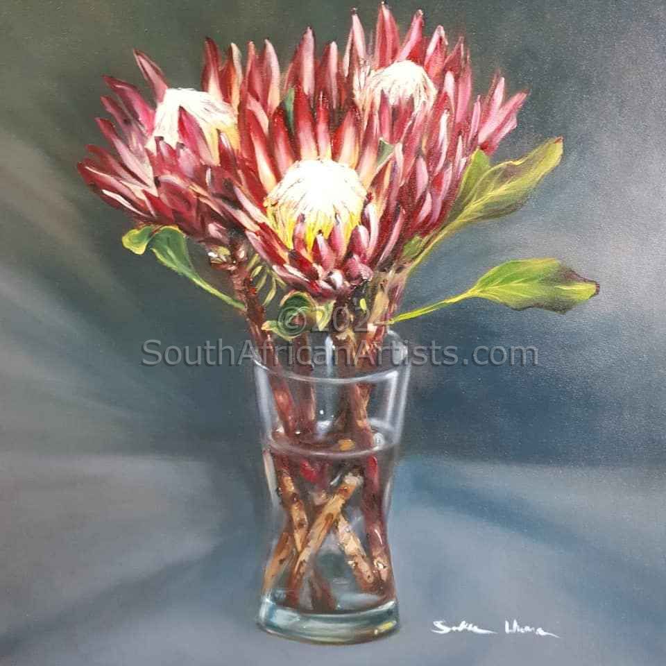 Red Flame Proteas