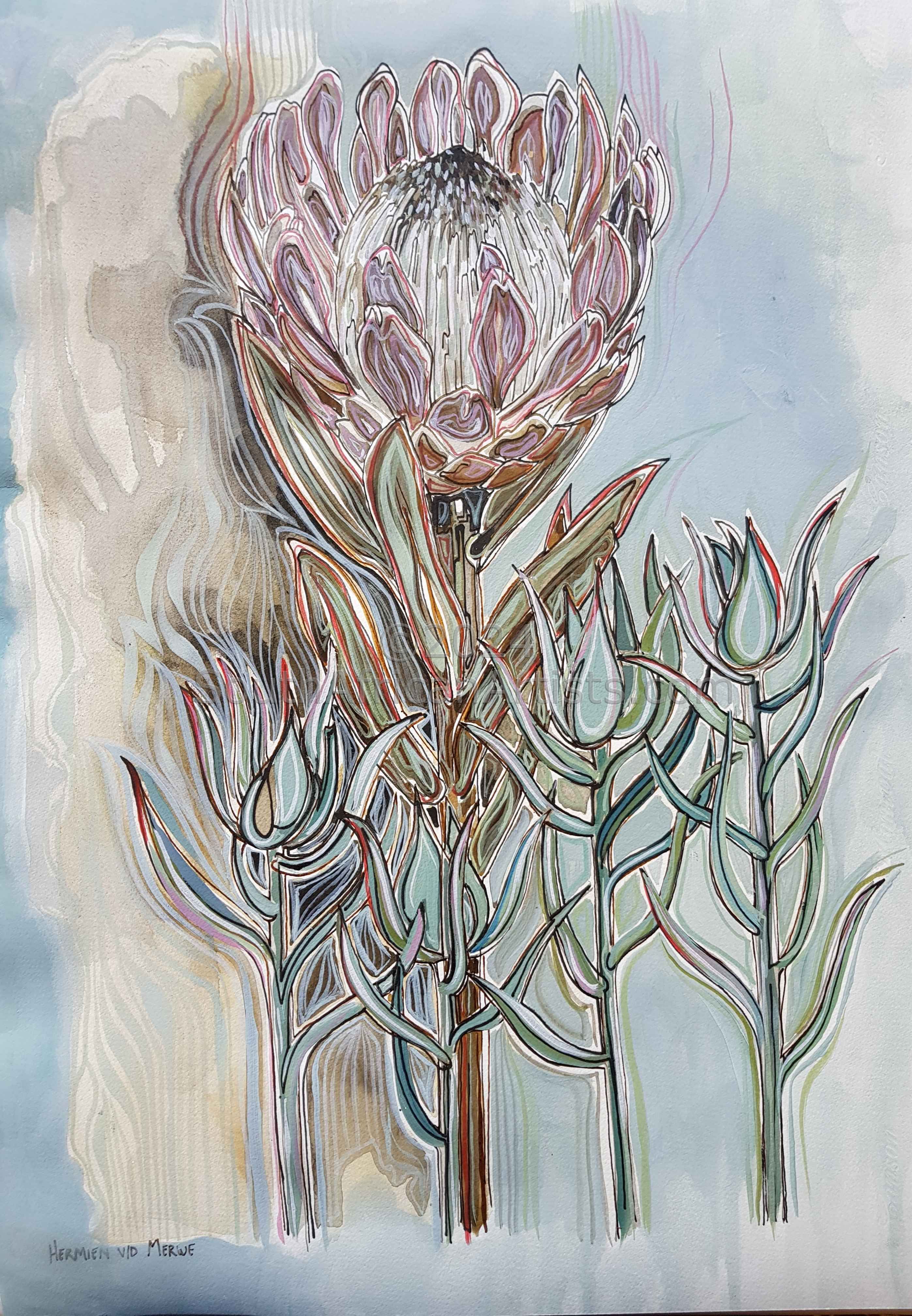 Protea Sylvia (with Sea-Blue)