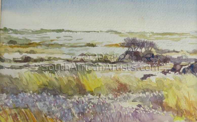 Cape Grassland Landscape
