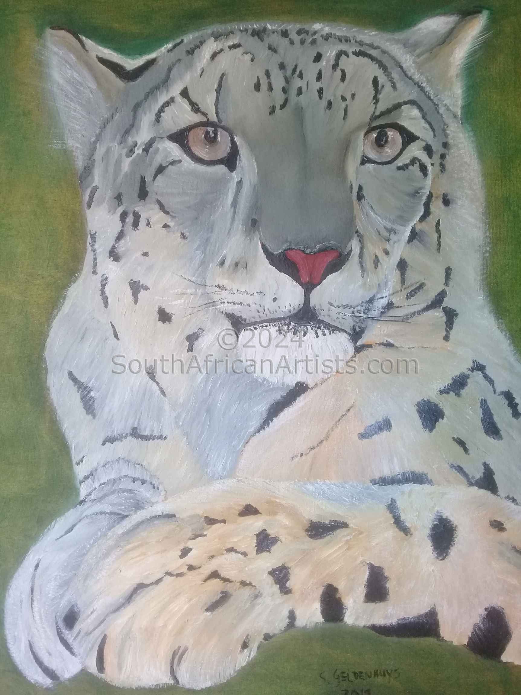  The Snow Leopard