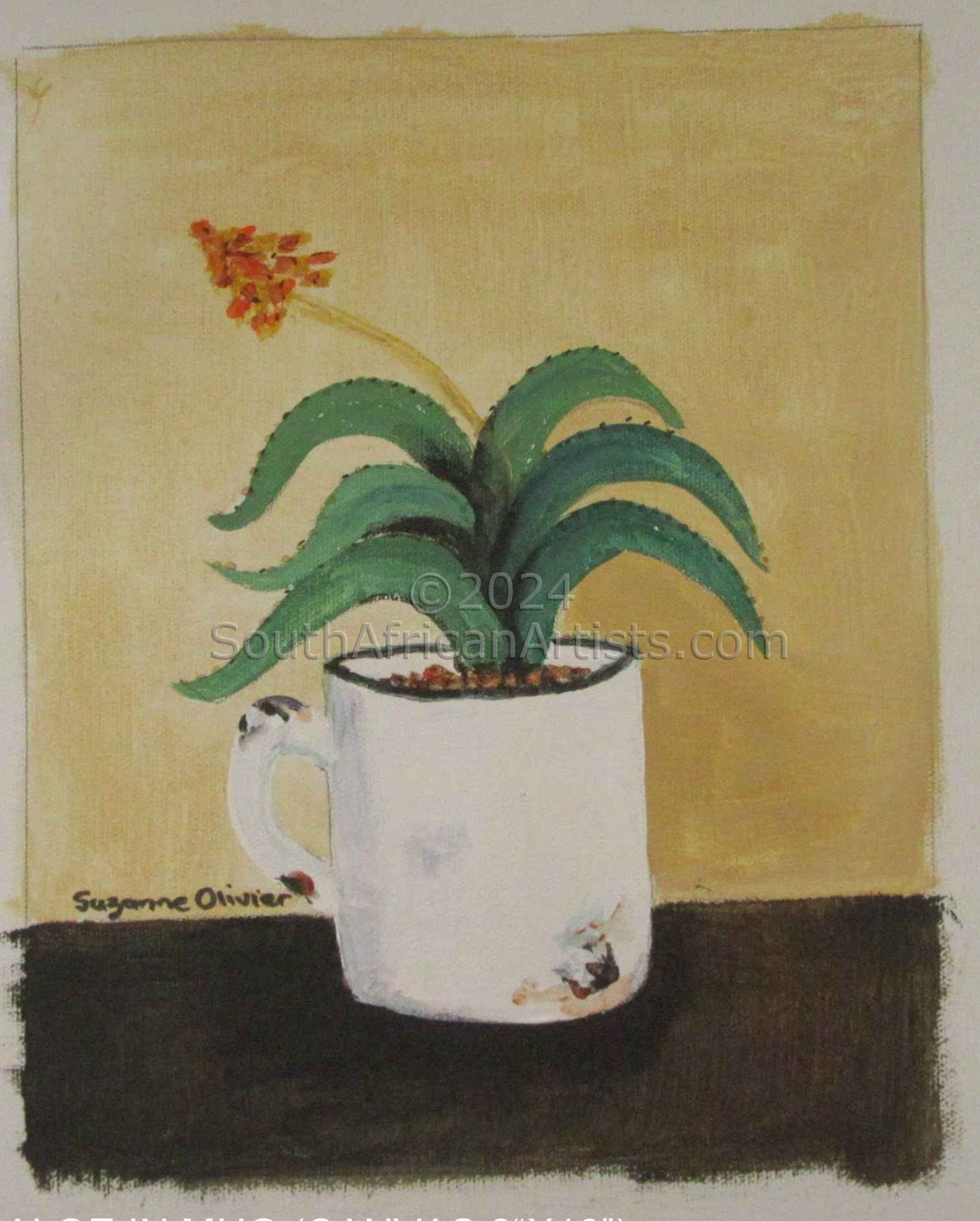 Aloe in Mug