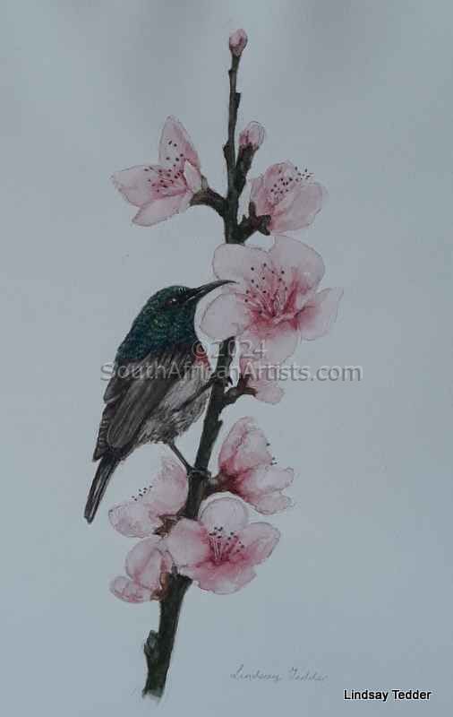Bird in the Blossoms
